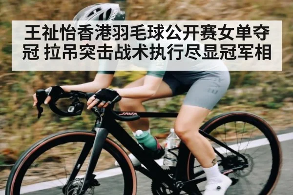王祉怡香港羽毛球公开赛女单夺冠 拉吊突击战术执行尽显冠军相